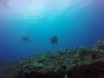 Hawaii Scuba divng 78