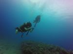 Hawaii Scuba divng 81