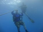 Hawaii Scuba divng 14