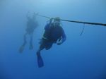 Hawaii Scuba divng 15