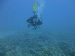 Hawaii Scuba divng 19