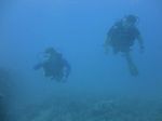 Hawaii Scuba divng 22