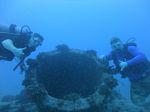 Hawaii Scuba divng 30