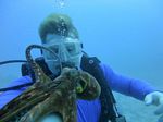 Hawaii Scuba divng 32