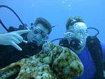 Hawaii Scuba divng 35