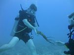 Hawaii Scuba divng 37