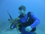 Hawaii Scuba divng 38