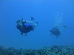 Hawaii Scuba divng 45