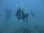 Hawaii Scuba divng 13