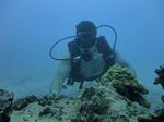 Hawaii Scuba divng 17