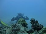 Hawaii Scuba divng 18