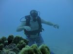 Hawaii Scuba divng 19