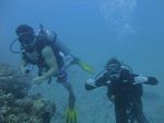 Hawaii Scuba divng 21