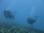 Hawaii Scuba divng 23