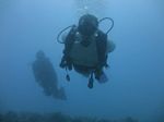 Hawaii Scuba divng 24