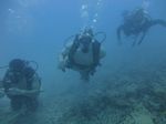 Hawaii Scuba divng 25