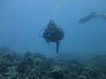 Hawaii Scuba divng 28