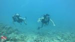 Oahu scuba 19