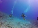 Hawaii Scuba divng 12