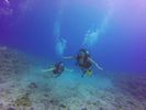 Hawaii Scuba divng 13