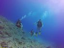 Hawaii Scuba divng 15