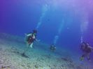 Hawaii Scuba divng 17