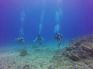 Hawaii Scuba divng 20