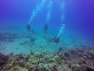 Hawaii Scuba divng 22