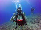 Hawaii Scuba divng 26