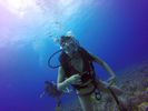 Hawaii Scuba divng 27