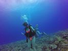 Hawaii Scuba divng 40