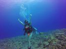 Hawaii Scuba divng 41