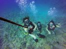 Hawaii Scuba divng 43