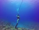 Hawaii Scuba divng 45