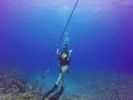 Hawaii Scuba divng 46