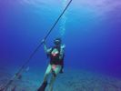 Hawaii Scuba divng 47