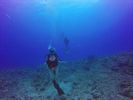 Hawaii Scuba divng 48