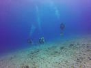 Hawaii Scuba divng 54