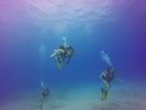 Hawaii Scuba divng 59