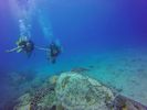 Hawaii Scuba divng 65