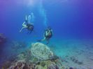 Hawaii Scuba divng 66