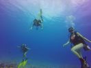 Hawaii Scuba divng 69