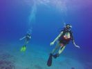 Hawaii Scuba divng 70