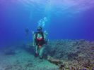 Hawaii Scuba divng 76