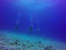 Hawaii Scuba divng 79