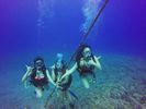 Hawaii Scuba divng 92