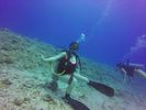 Hawaii Scuba divng 10