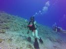 Hawaii Scuba divng 11