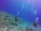 Hawaii Scuba divng 14