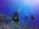 Hawaii Scuba divng 16